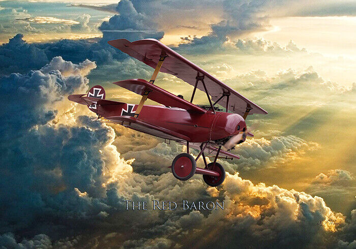  Fokker DR1 Red Baron canvas prints various sizes free delivery 