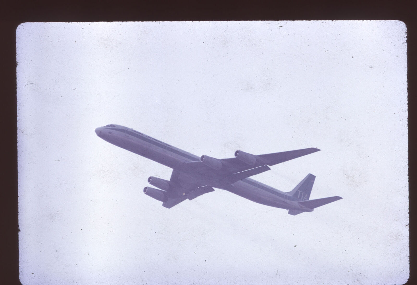 Orig 35mm airline slide Trans International Airlines DC-8-63 [2081]