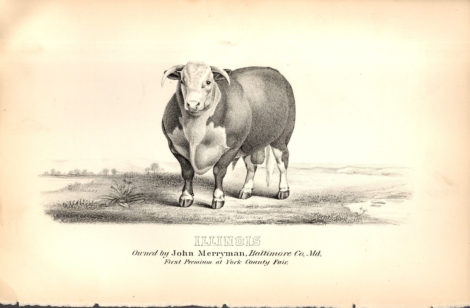 Agriculture of Pennsylvania 1878  Illinois