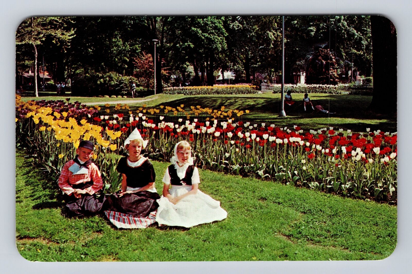 Holland MI-Michigan, Dutch Children and Tulips, Antique Vintage Postcard