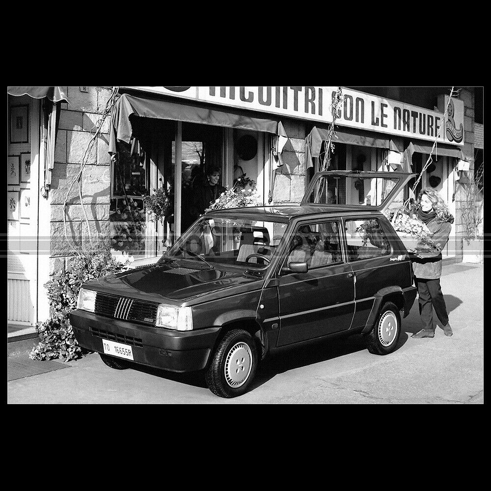 1991 Fiat Panda Shopping Photo A.016129
