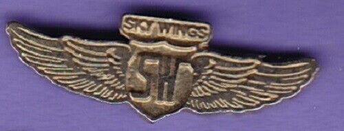 SKY WINGS - lapel type pin