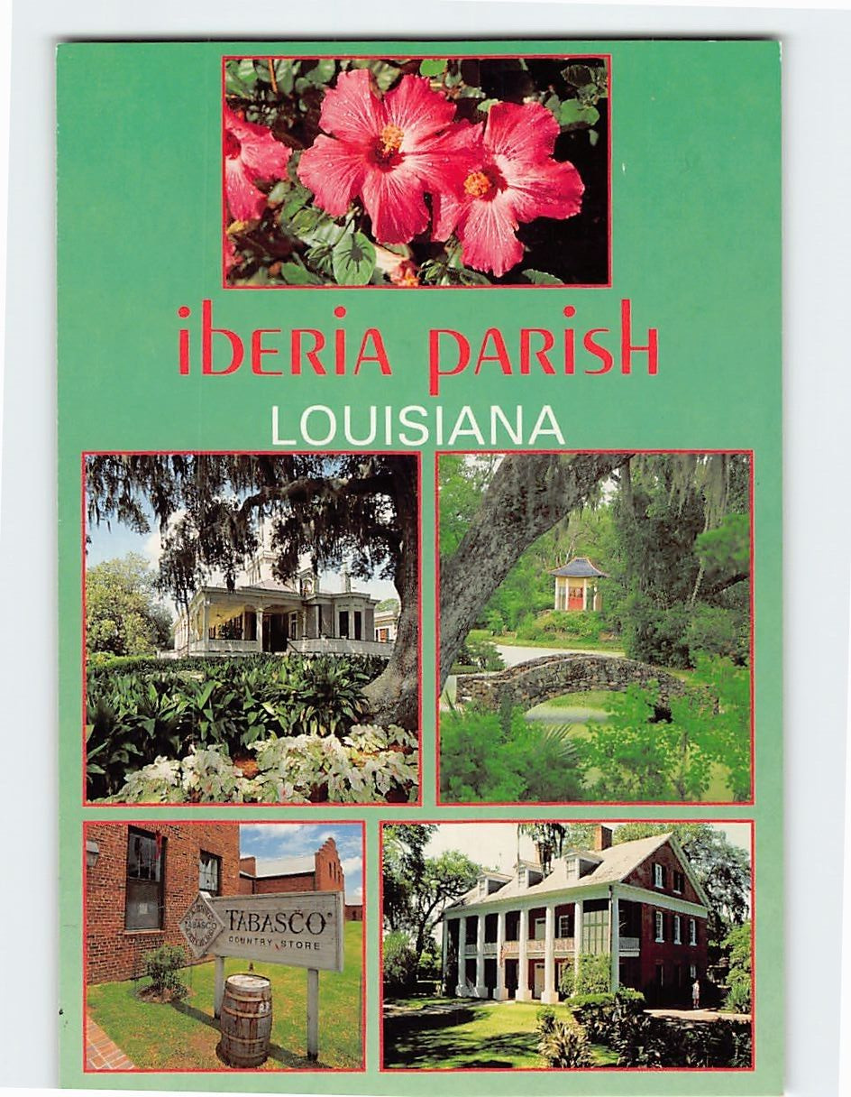 Postcard Iberia Parish Louisiana USA