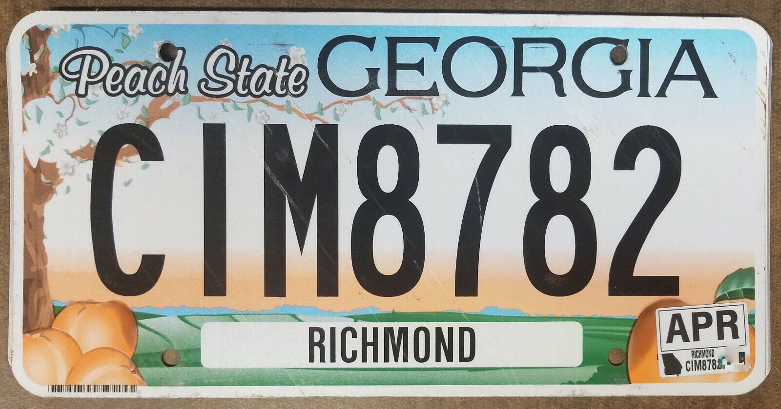 Georgia expired 2010? Peach State Richmond County License Plate ~ CIM8782 - Flat