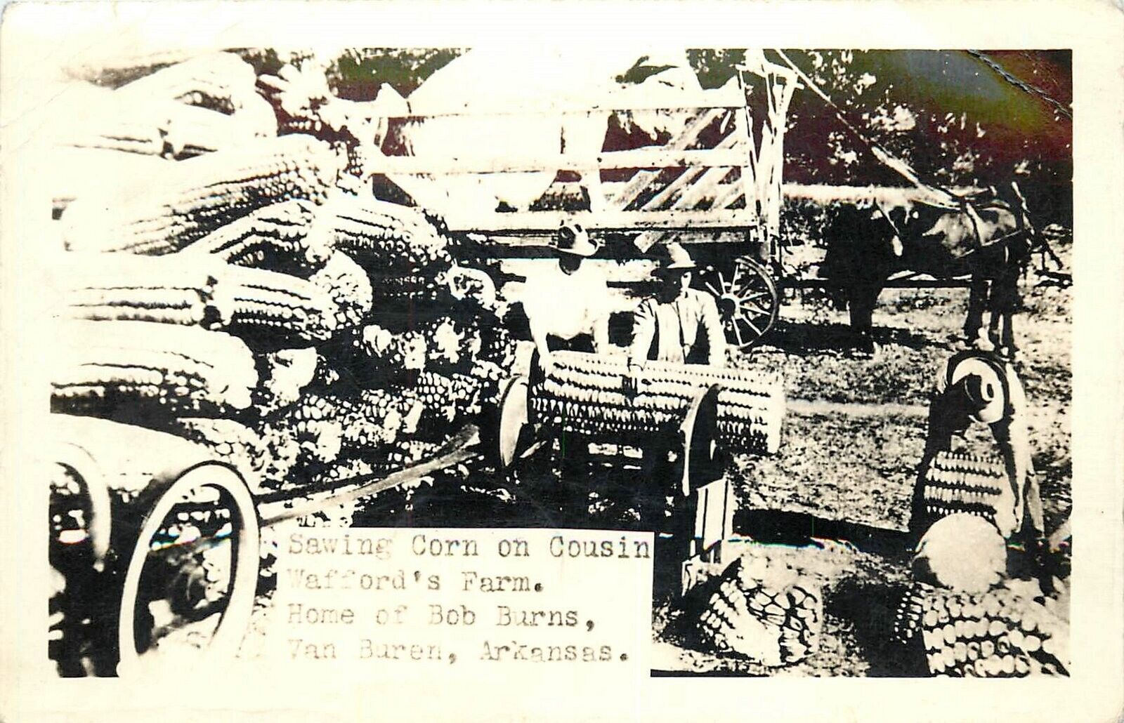 Postcard RPPC 1944 Arkansas Van Buren Corn Farm exaggeration AR24-1615