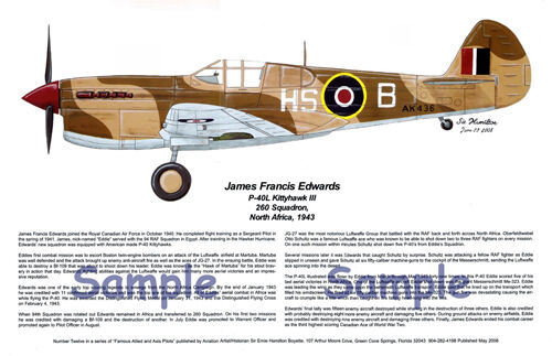 Stocky Edwards, Franz Stigler, P-40 Tomahawk, Bf-109F Posters, Artist, E Boyette