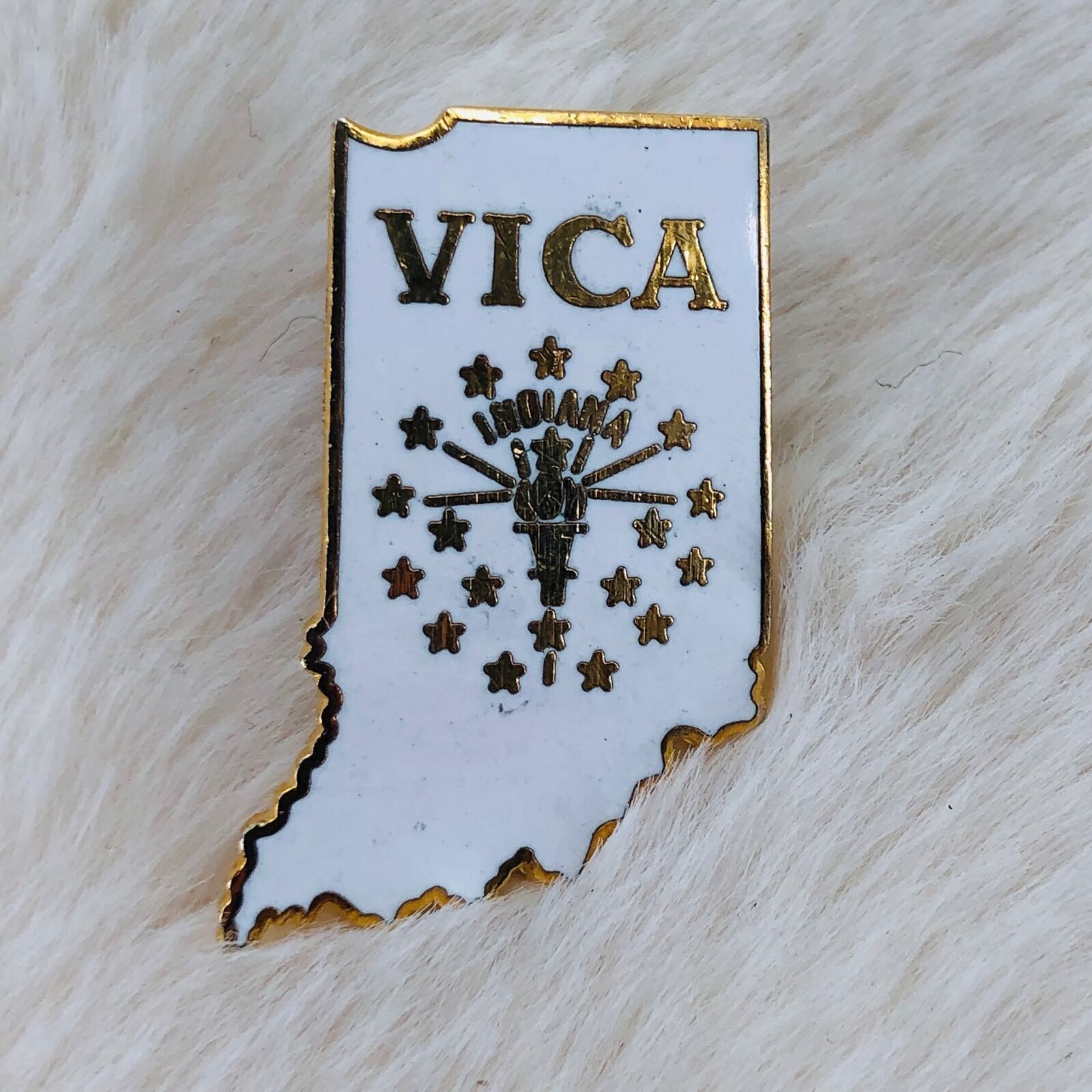 Indiana VICA Vocational Club Skill Olympics Trading Pin State Shape