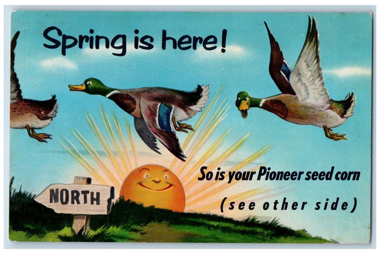 Dow City California Postcard Advertising Crow Seed Pioneer Hybrid Seed Corn 1957