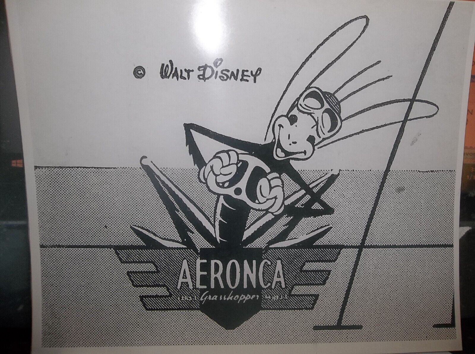 Aeronca Grasshopper Photo 8-1/ x  11