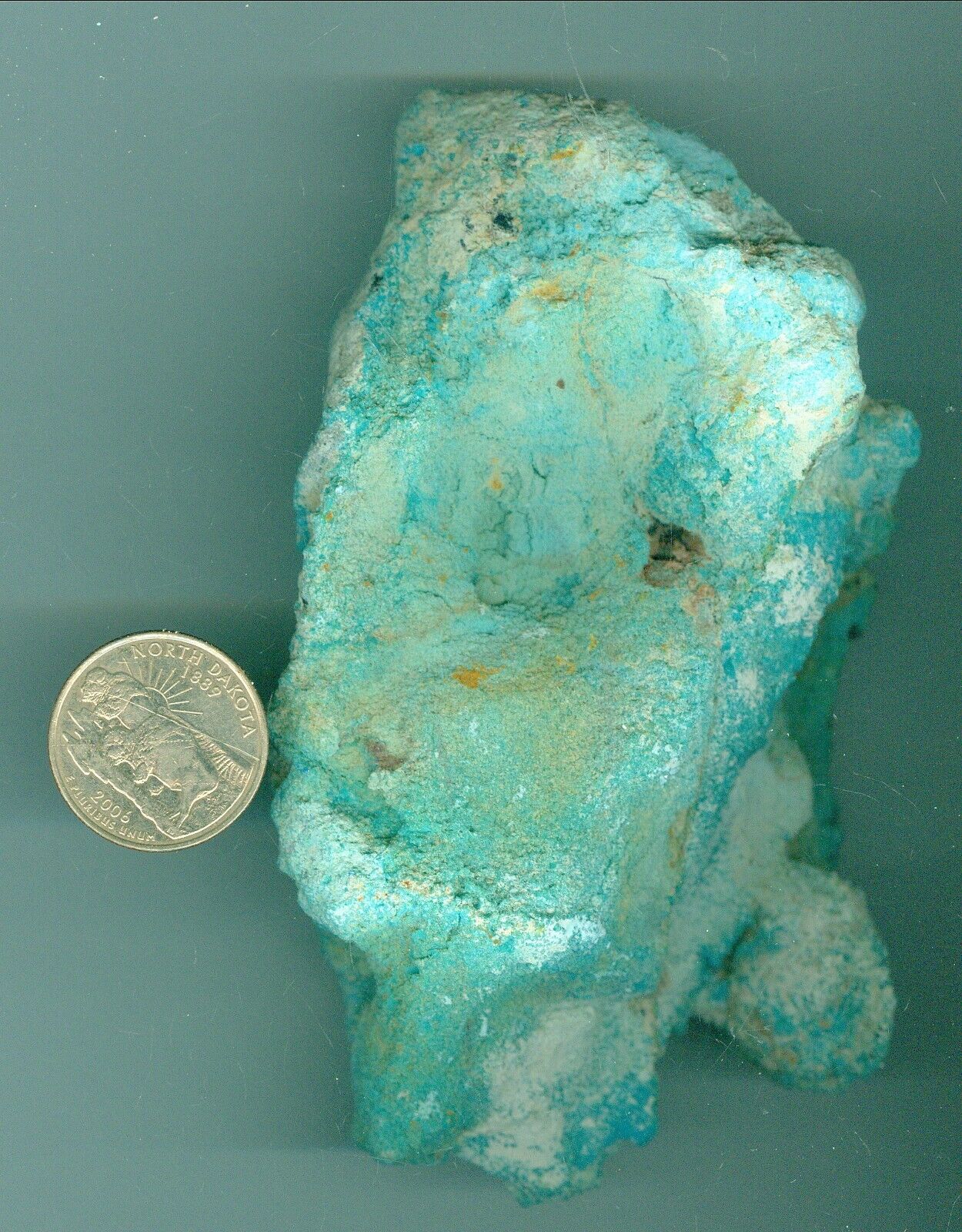 310 Grams Natural Fox Turquoise Mine Nugget Specimen Large 4.75in x 3in x .5in