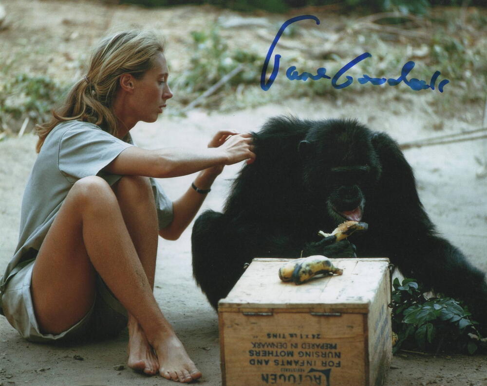 JANE GOODALL SIGNED AUTOGRAPH 8X10 PHOTO - WOULD RENOWNED PRIMATOLOGIST RARE