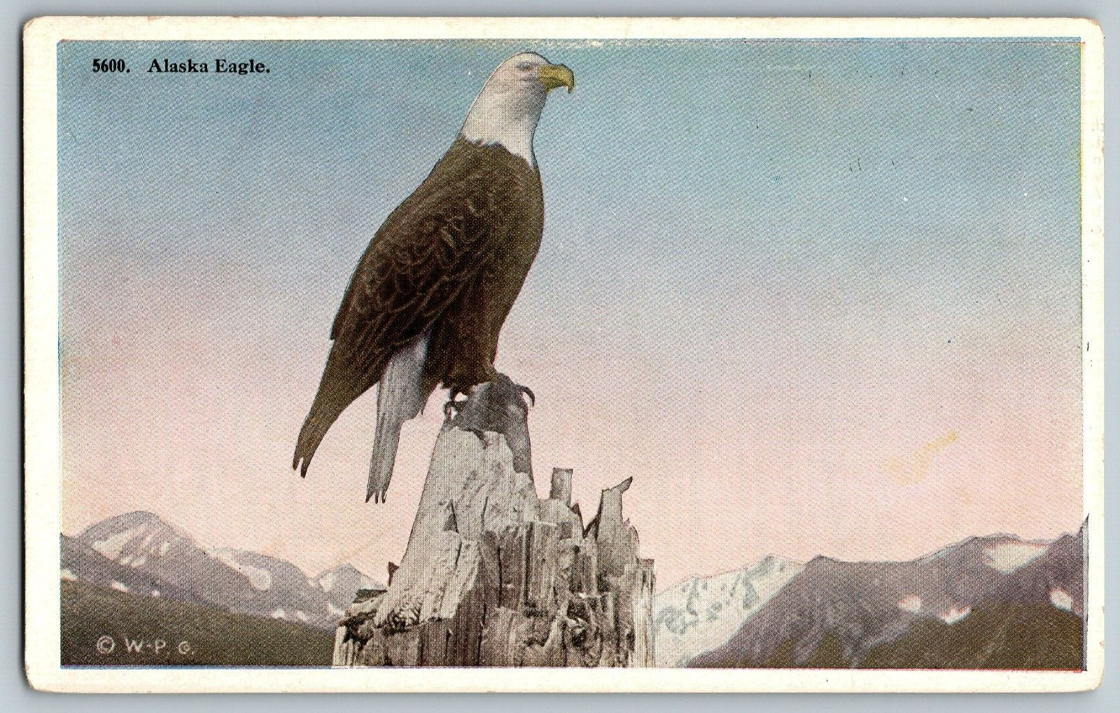 Alaska - Alaska Eagle - Vintage Postcard - Unposted