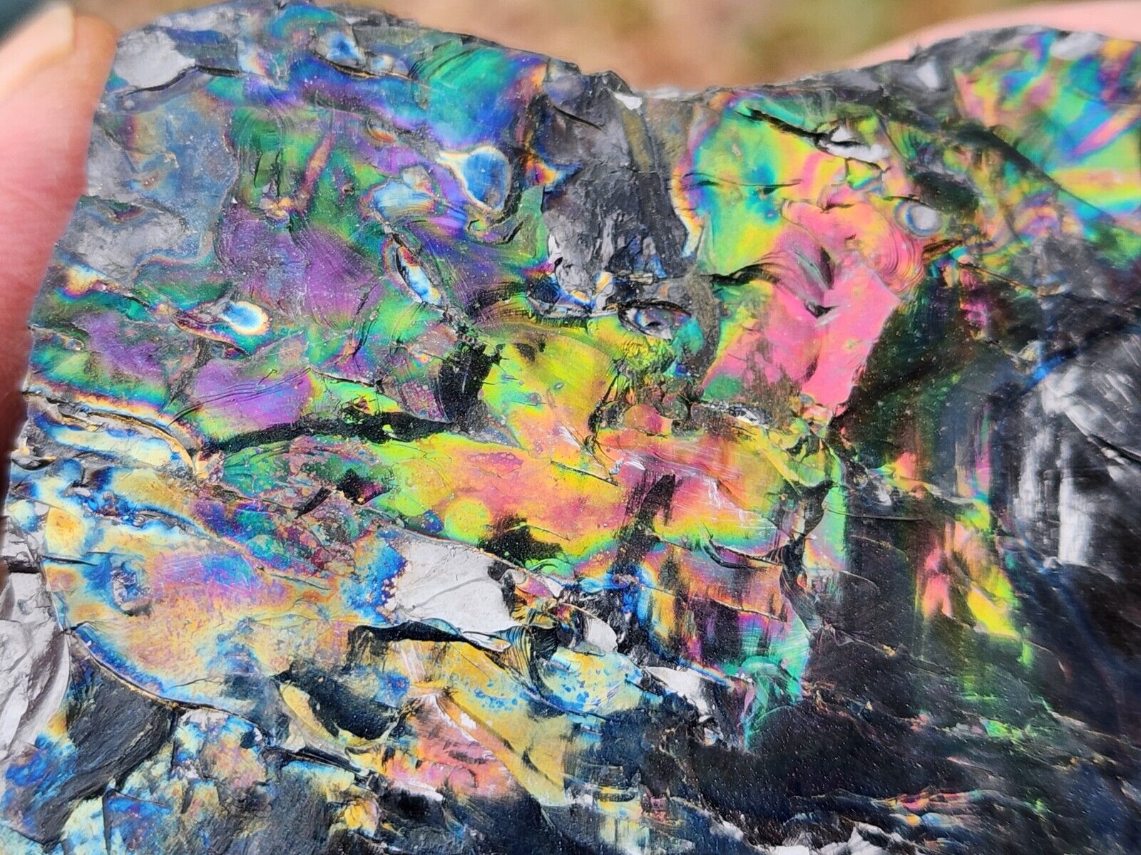 Stunning Iridescent PEACOCK COAL Rainbow Anthracite, Tresckow PA