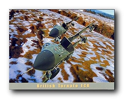 Panavia Tornado Variable Sweep Wing Combat Aircraft Wall Decor Art Print (16x20)
