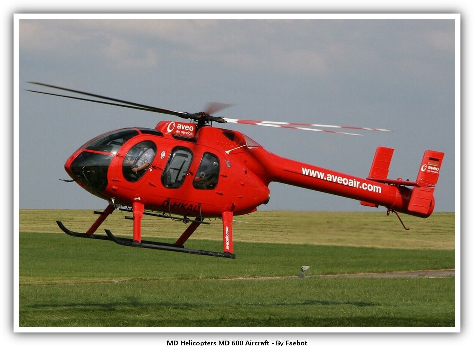 MD Helicopters MD 600 Aircraft