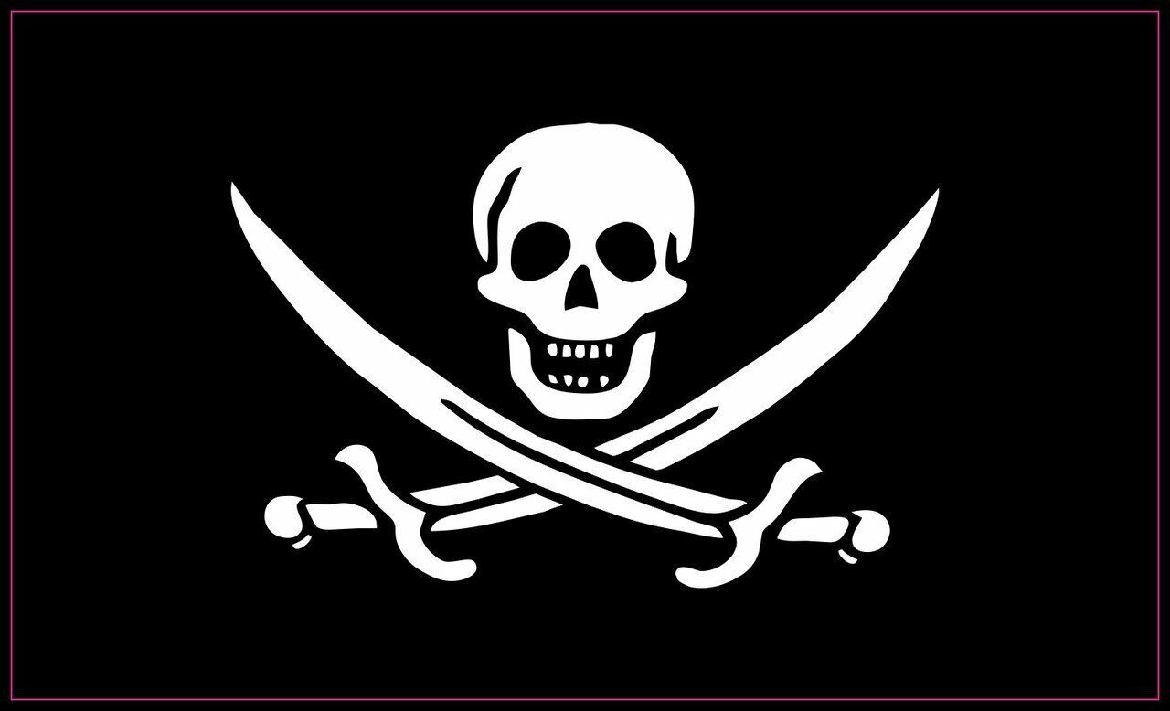 5 x 3 Jolly Roger Flag Bumper Magnet Pirate Door Truck Sign Magnets Signs Decal
