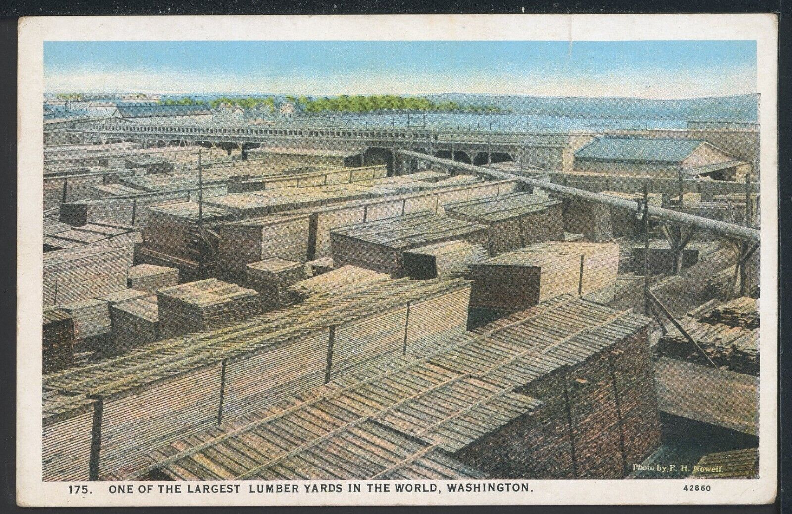 1930s One of the Largest Lumber Yards in World Washington Historic Postcard M675