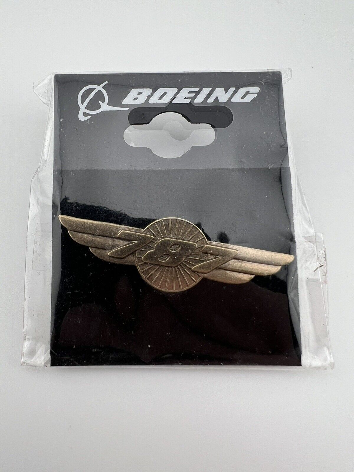 Boeing 787 Wings Lapel Pin
