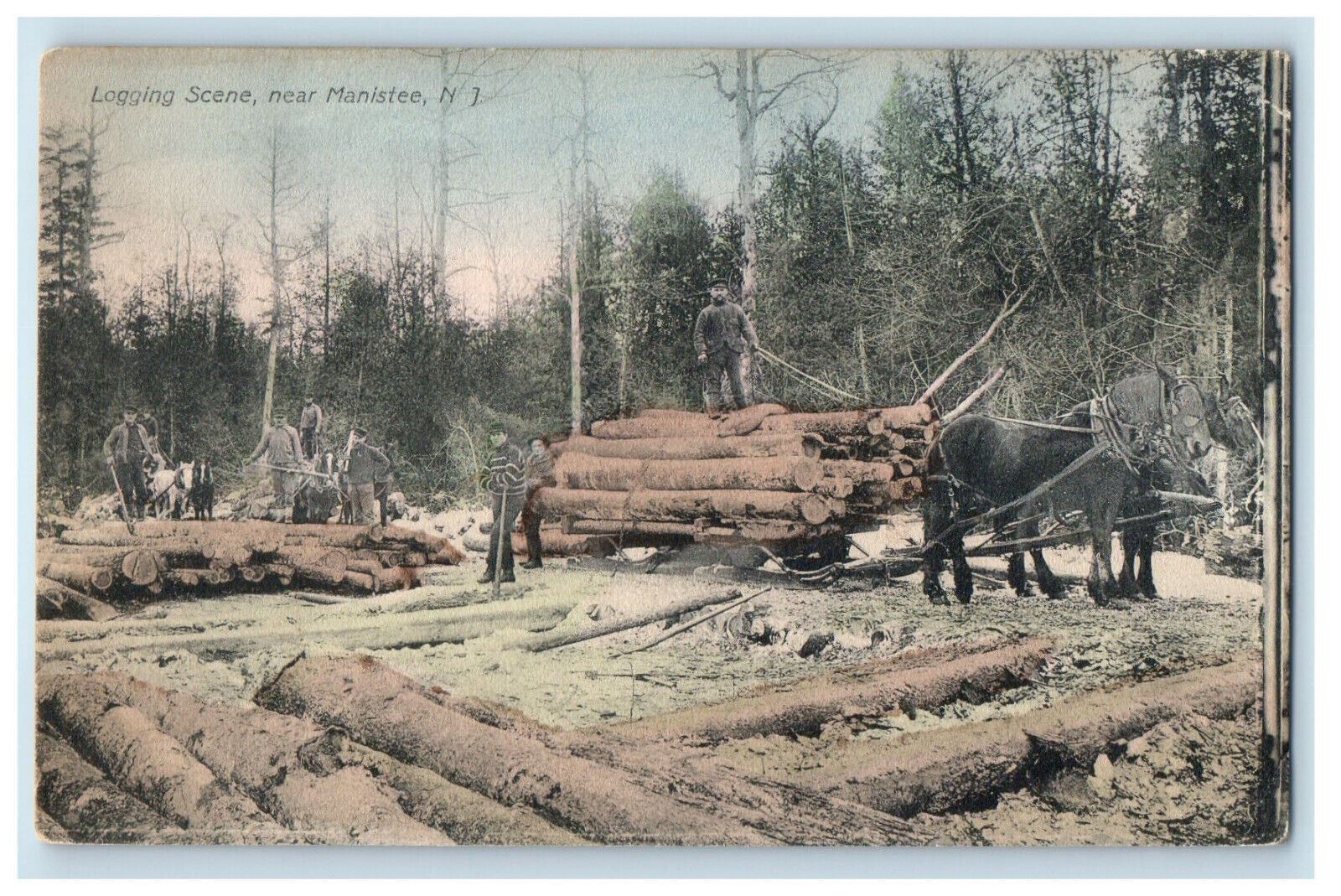 1909 Logging Scene Near Manistee Michigan MI Posted Antique Postcard