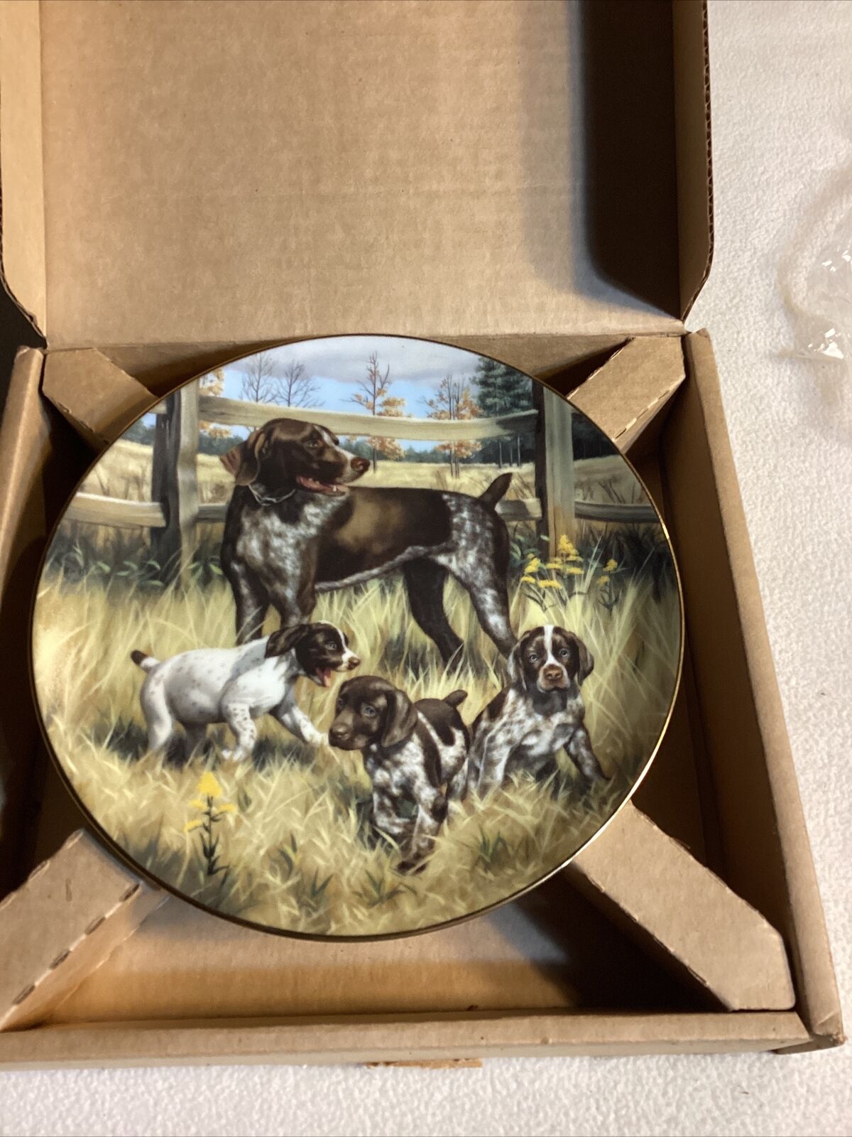 1989 german shorthaired pointers classic sporting dogs