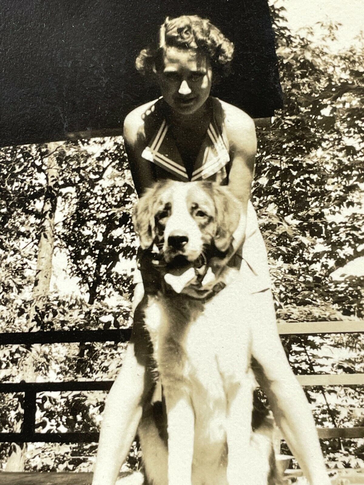 Y2 Photograph Artistic 1940-50\'s Pretty Woman Posing St Bernard Dog