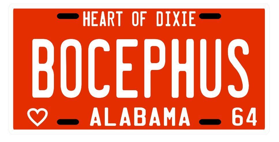 Hank Williams Jr. Bocephus 1964 Alabama License plate