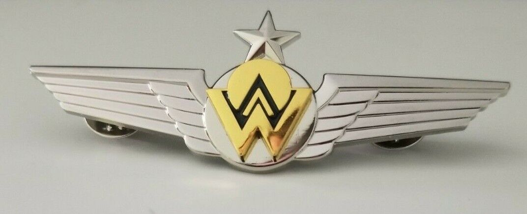 America West Airlines Pilot Wings
