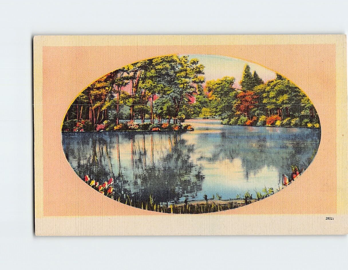 Postcard Lake and Trees Scene