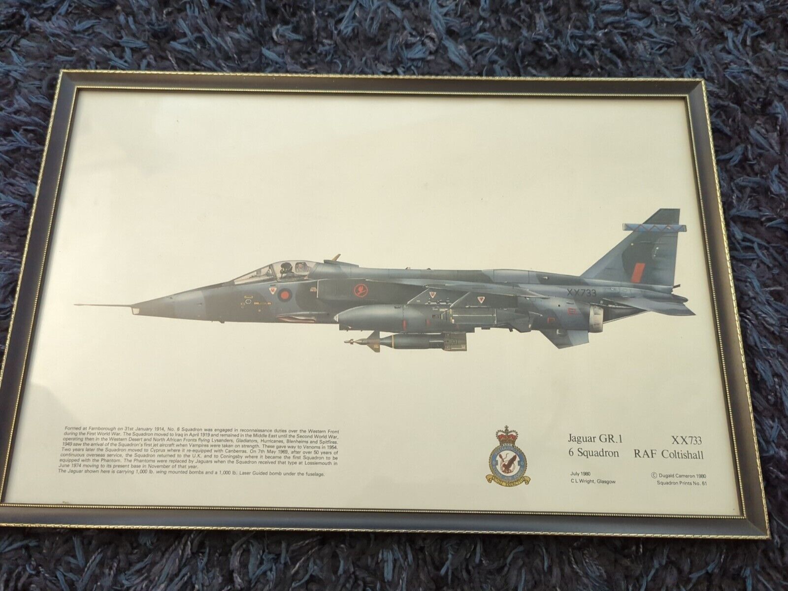 Dugald Cameron Squadron Print (61) 1980 Jaguar GR1, 6 Squadron,RAF Coltishall