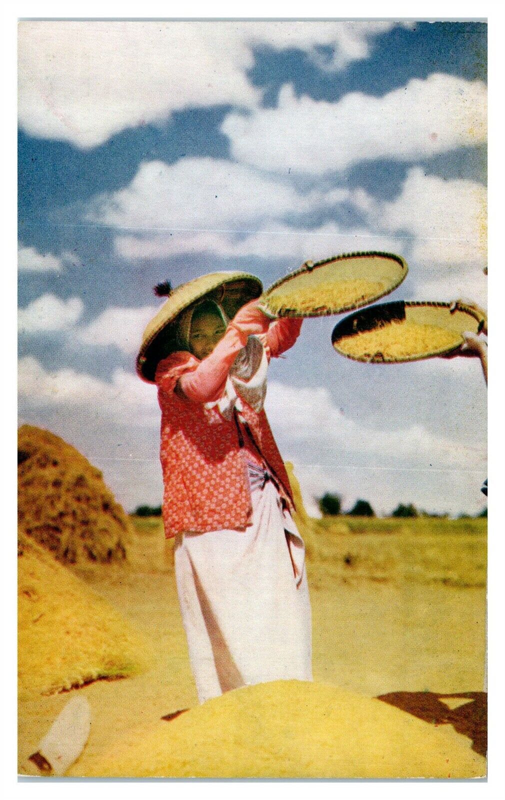 Philippine Airlines, Native Woman Winnowing Rice, Luzon Postcard *6T15