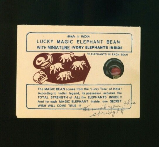 Lucky Magic Elephant Bean Made in India