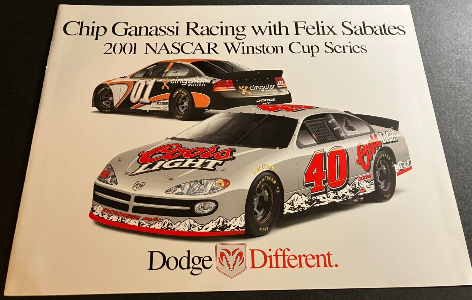 2001 Chip Ganassi Racing Dodge Intrepid NASCAR Team - Vintage 2-Page Brochure