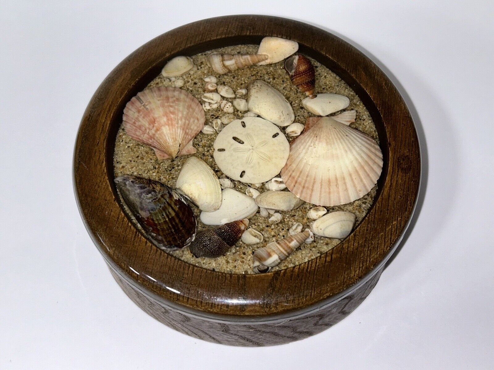 Folk Art Seashells Trinket Box Lidded Wooden Trinket Box w/ Seashells Lid 5.75”