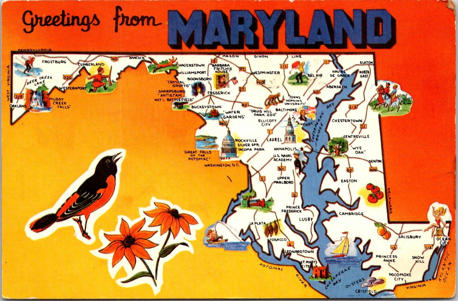 Vintage PPC - Greetings from Maryland - F21014