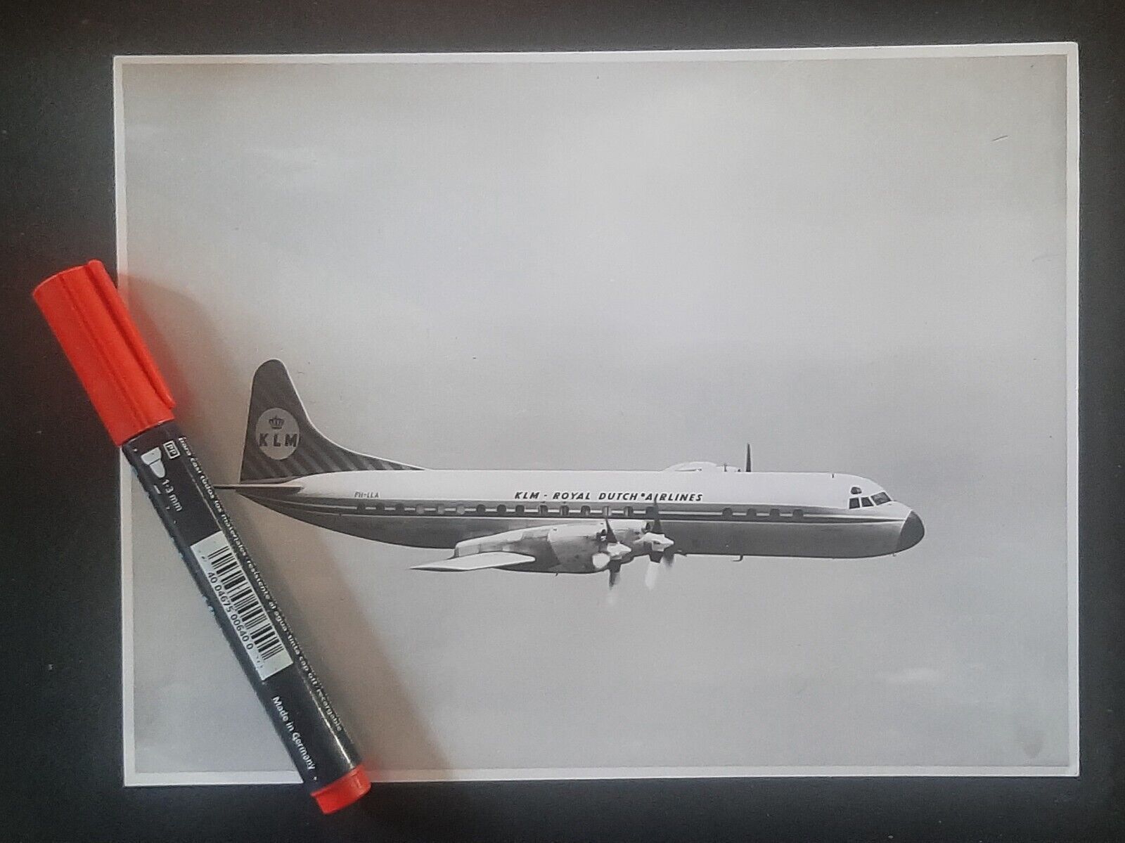 Lockheed L-188 Electra PH-LLA large original KLM issued photo 7x9.5 not sepia