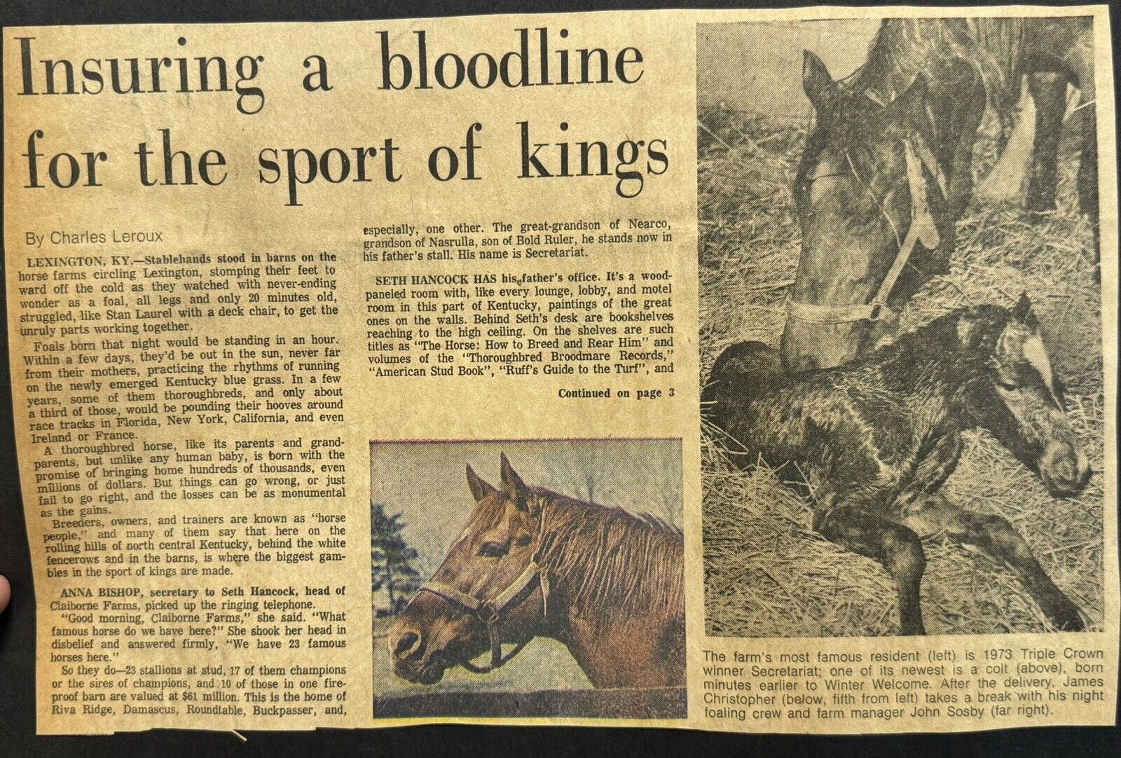 Vintage RARE Secretariat Newspaper Aritcle Bloodline Lexington, KY Triple Crown