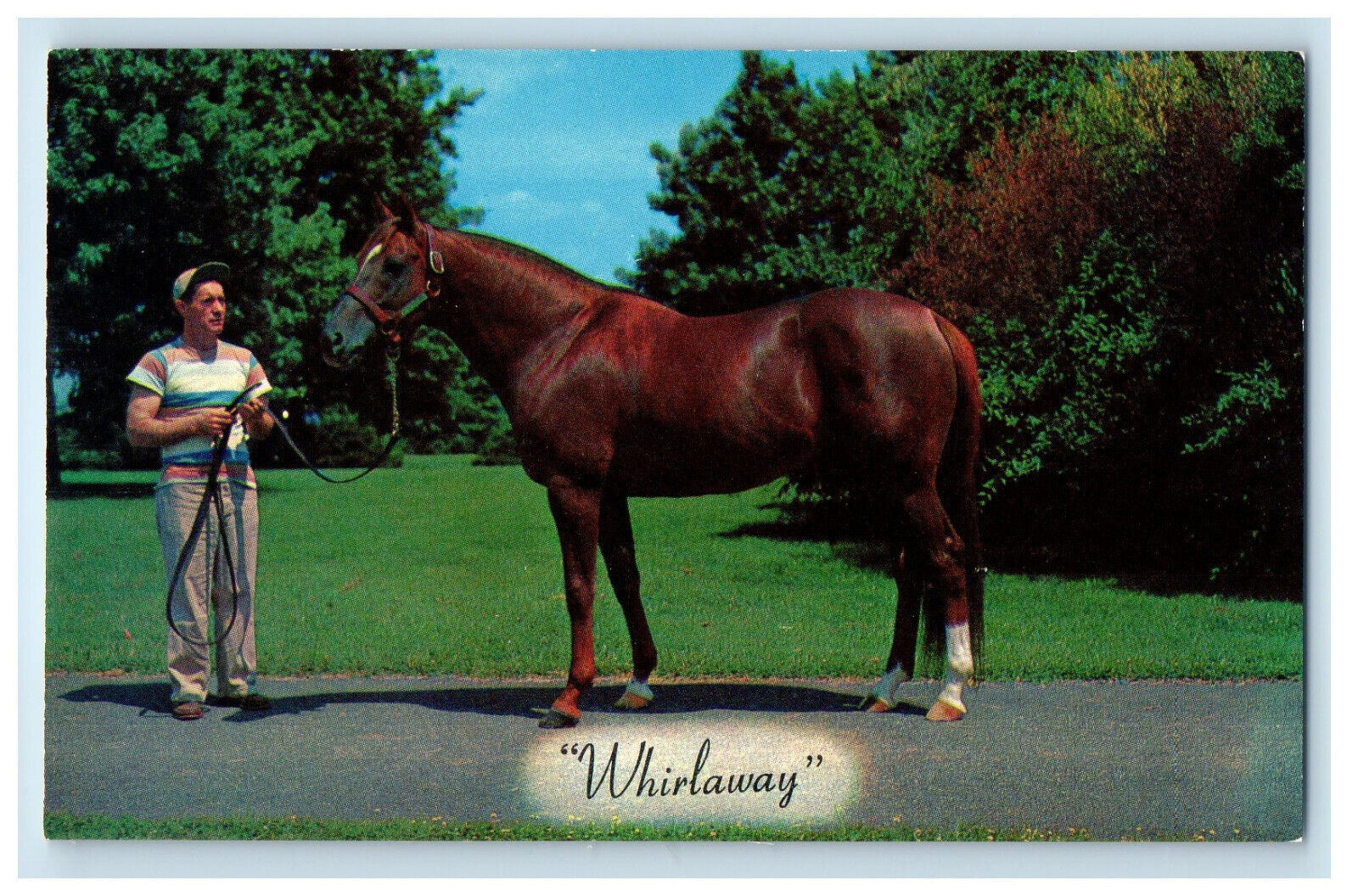 c1950s Whirlaway Calumet Farm\'s Triple Crown Winner Lexington KY Postcard