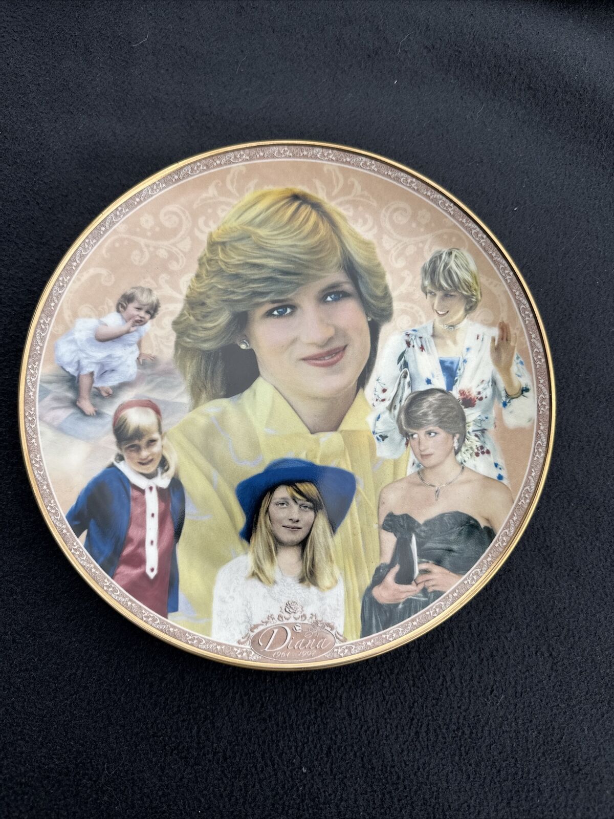 Princess Diana Memorial Plate ~ By Danbury Mint ~ \
