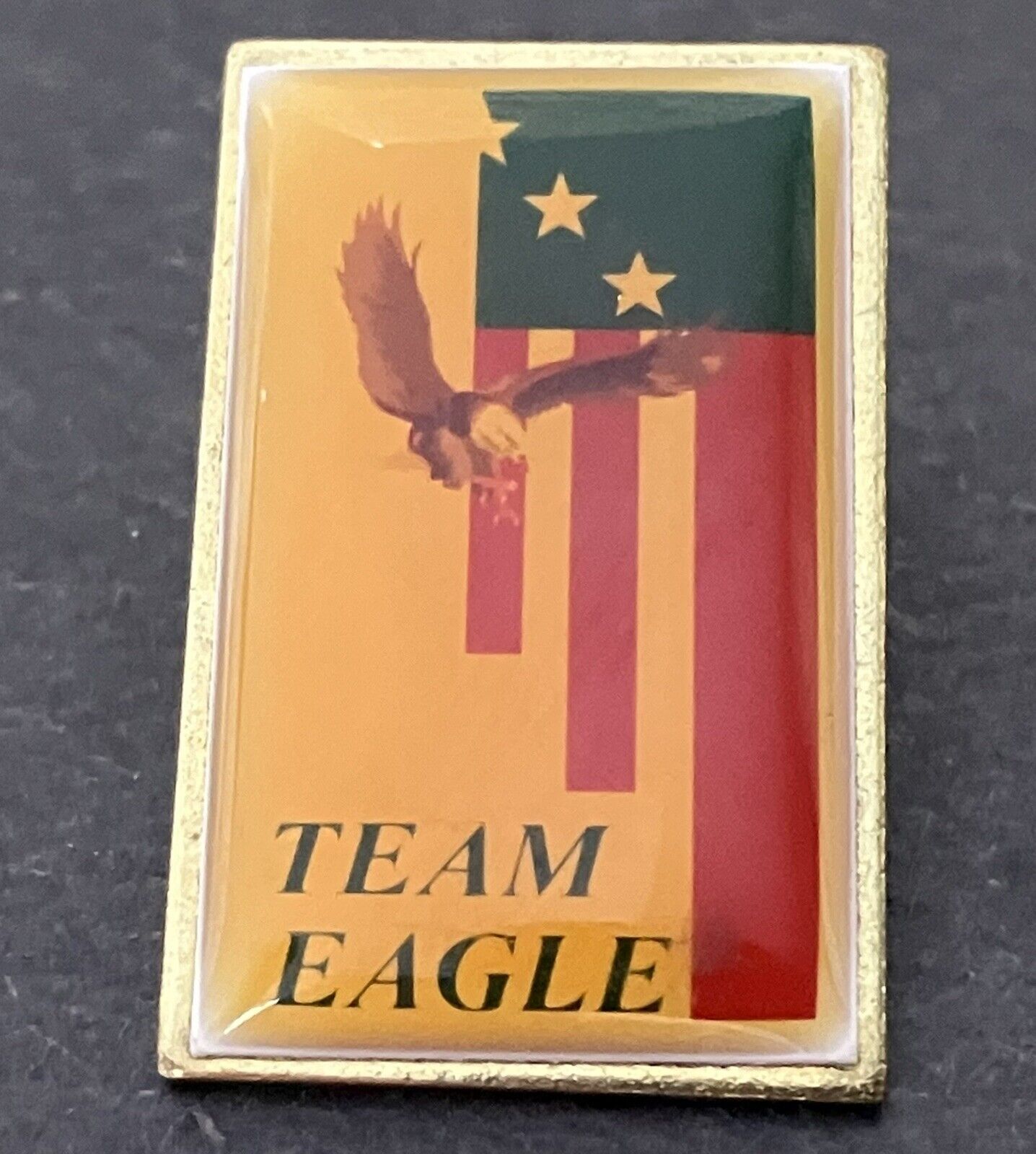 Vintage “ Team Eagle ” Lapel Pin USA Flag Enamel 1 Inch NOS
