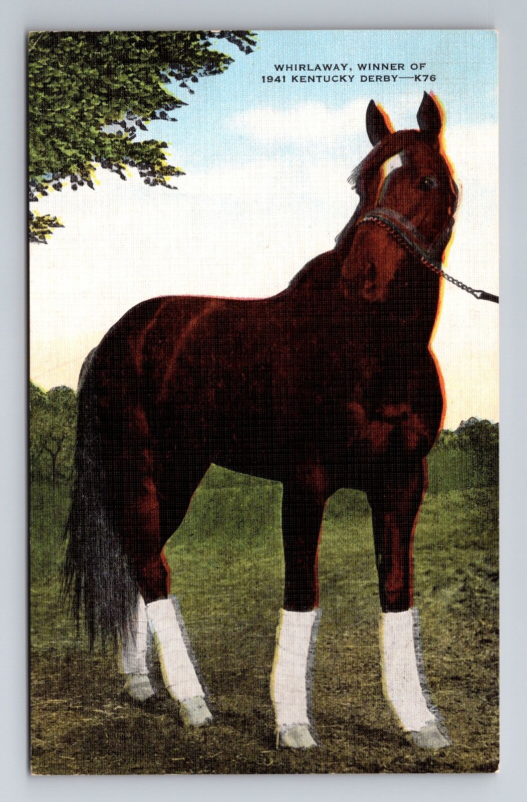 Whirlaway, Winner Of The 1941 Kentucky Derby Antique Vintage Souvenir Postcard