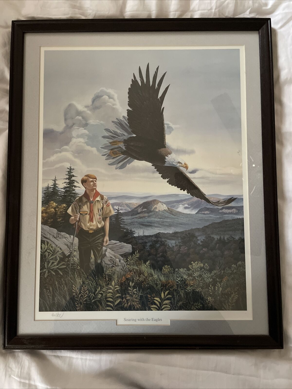 Soaring With The Eagles Balke Boy Scouts Vintage Framed print BSA Eagle Scout