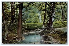 1908 A Shady Nook In Cherokee Park Louisville Kentucky KY Tuck's Postcard picture
