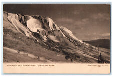 c1905 Mammoth Hot Springs Yellowstone Park Haynes Photo Unposted Postcard picture