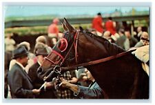 c1960's Aqueduct Belmont Park Buckpasser Horse Racing Saratoga NY Postcard picture