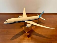 Pacmin 1/100 Boeing B787-9 Dreamliner No Box picture