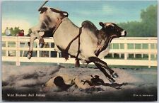 Wild Brahma Bull Riding Big Event Rodeo Unmounted Rider Postcard picture