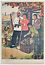 CHINESE CULTURAL REVOLUTION POSTER 60's VINTAGE - US SELLER - Dazhai Farmers picture