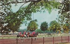 c1960s Saratoga New York horse racetrack morning workout postcard B318 picture