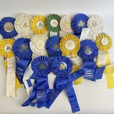 Lot Of 16 Equestrian Horse Show Competitions Dressage Ribbons Awards Vintage picture