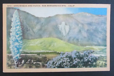 Arrowhead & Yucca San Bernadino Mountains CA Unposted Linen Postcard picture